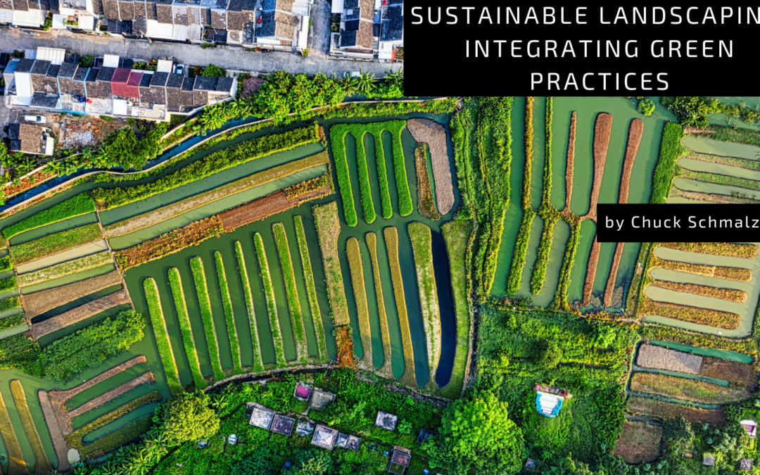 Sustainable Landscaping: Integrating Green Practices